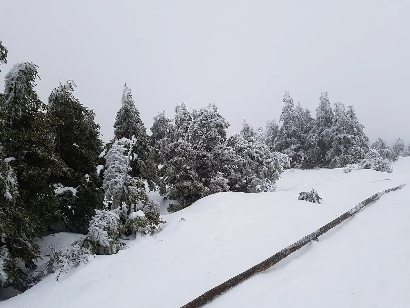 Verschneiter Brocken am 30. Dezember 2018