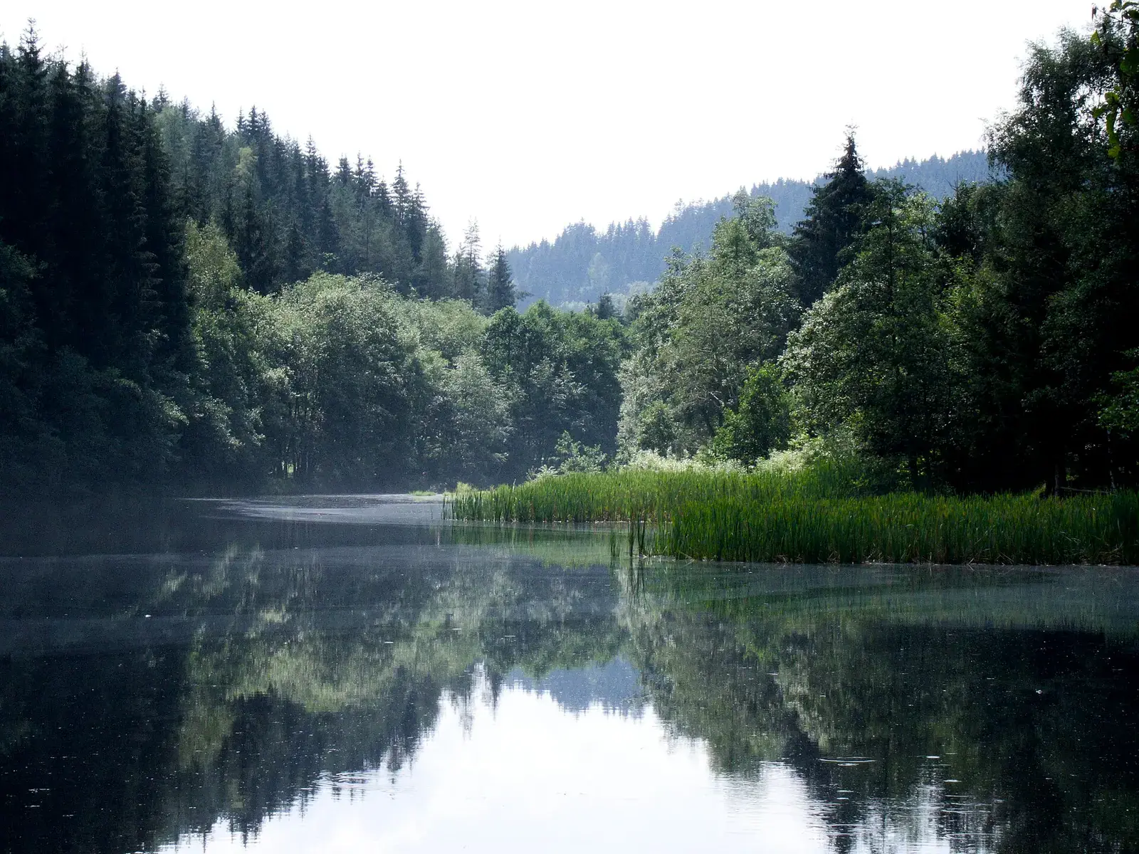 Vorbecken des Okerstausees im Oberharz